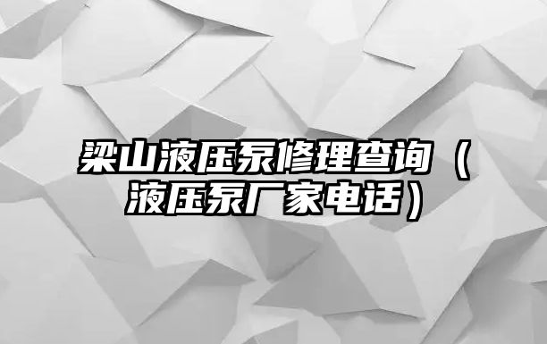 梁山液壓泵修理查詢（液壓泵廠家電話）