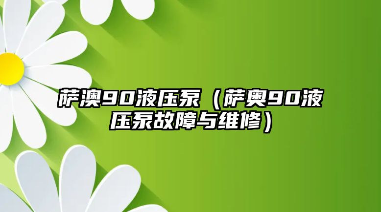 薩澳90液壓泵（薩奧90液壓泵故障與維修）