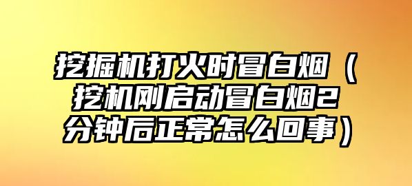 挖掘機打火時冒白煙（挖機剛啟動冒白煙2分鐘后正常怎么回事）