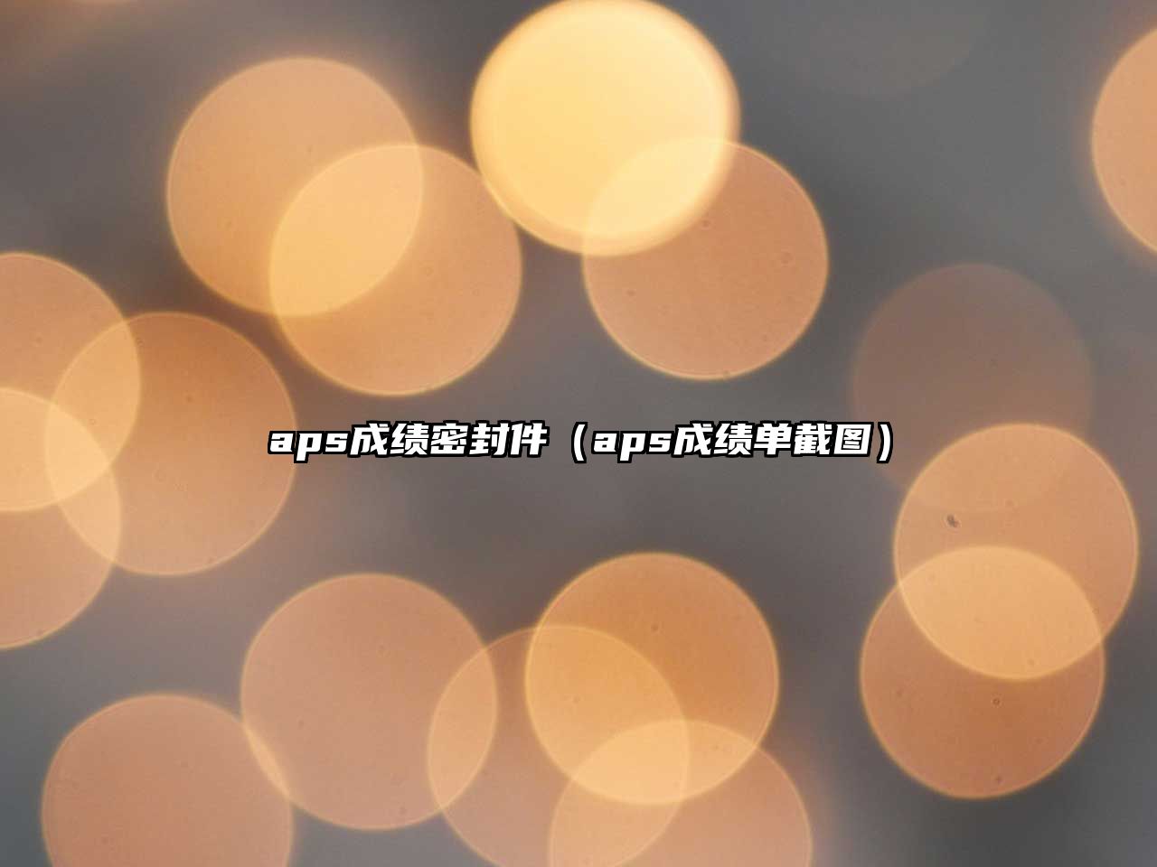 aps成績(jī)密封件（aps成績(jī)單截圖）