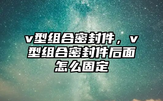 v型組合密封件，v型組合密封件后面怎么固定