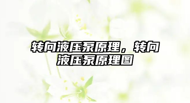 轉向液壓泵原理，轉向液壓泵原理圖