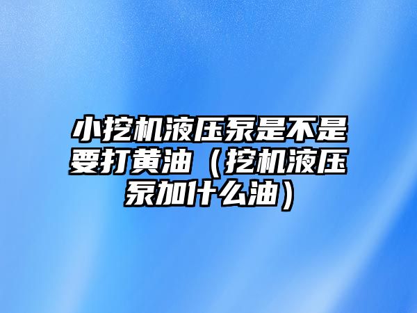 小挖機液壓泵是不是要打黃油（挖機液壓泵加什么油）