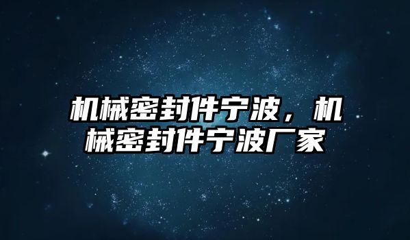 機(jī)械密封件寧波，機(jī)械密封件寧波廠家