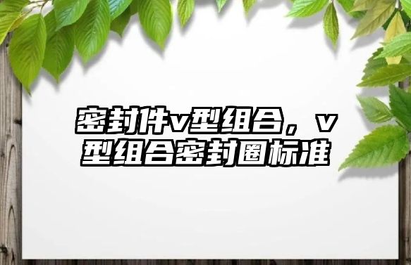 密封件v型組合，v型組合密封圈標(biāo)準(zhǔn)