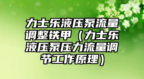 力士樂(lè)液壓泵流量調(diào)整鐵甲（力士樂(lè)液壓泵壓力流量調(diào)節(jié)工作原理）