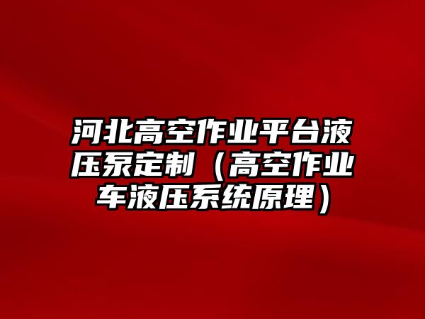 河北高空作業(yè)平臺液壓泵定制（高空作業(yè)車液壓系統(tǒng)原理）