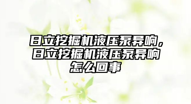 日立挖掘機液壓泵異響，日立挖掘機液壓泵異響怎么回事