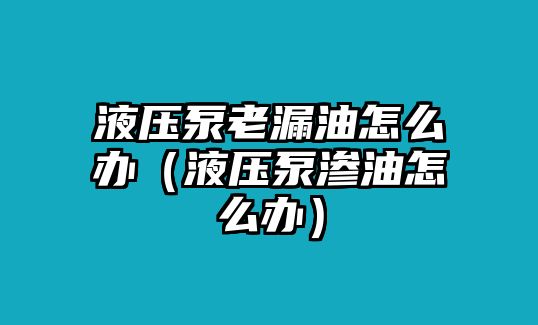 液壓泵老漏油怎么辦（液壓泵滲油怎么辦）