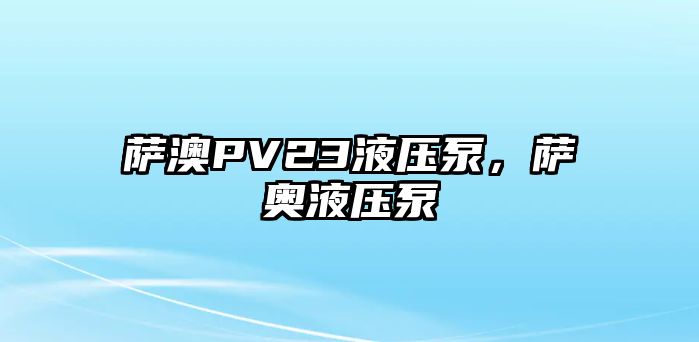 薩澳PV23液壓泵，薩奧液壓泵