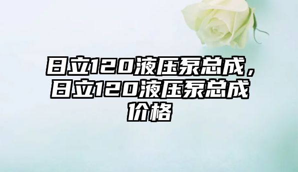 日立120液壓泵總成，日立120液壓泵總成價格