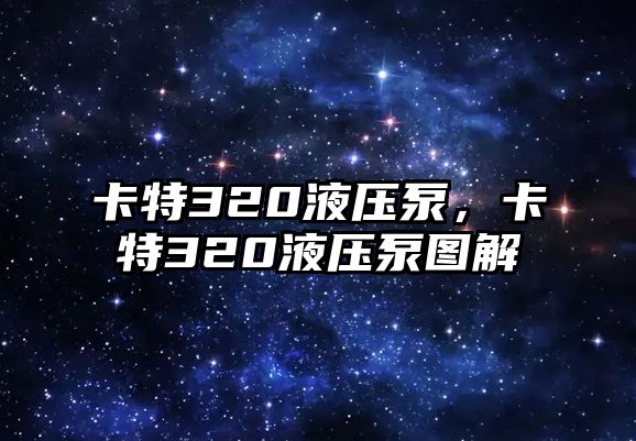 卡特320液壓泵，卡特320液壓泵圖解