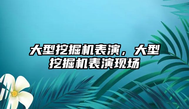 大型挖掘機表演，大型挖掘機表演現(xiàn)場