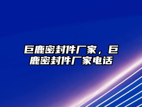 巨鹿密封件廠家，巨鹿密封件廠家電話