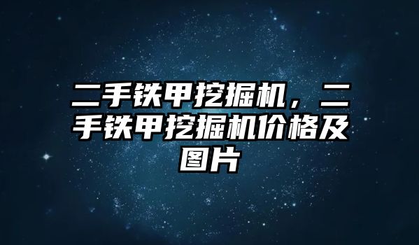 二手鐵甲挖掘機(jī)，二手鐵甲挖掘機(jī)價(jià)格及圖片