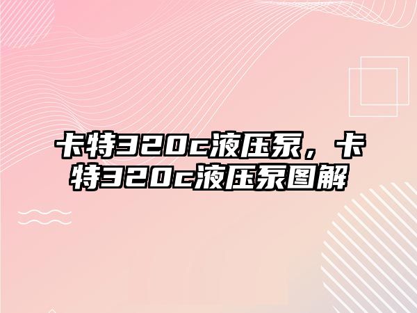 卡特320c液壓泵，卡特320c液壓泵圖解