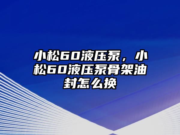 小松60液壓泵，小松60液壓泵骨架油封怎么換