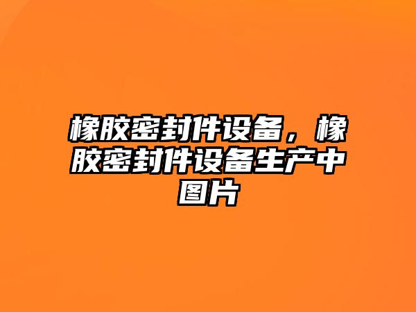 橡膠密封件設備，橡膠密封件設備生產(chǎn)中圖片