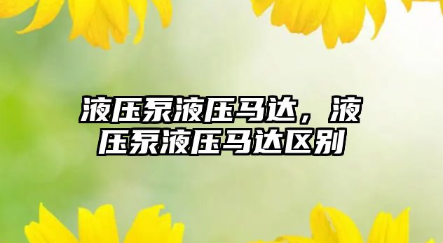 液壓泵液壓馬達(dá)，液壓泵液壓馬達(dá)區(qū)別