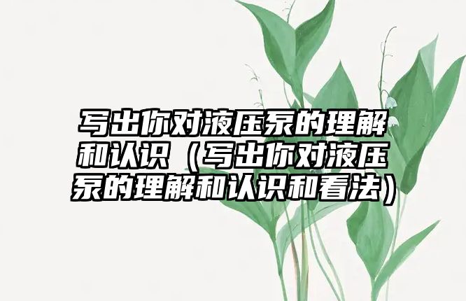 寫出你對液壓泵的理解和認(rèn)識（寫出你對液壓泵的理解和認(rèn)識和看法）