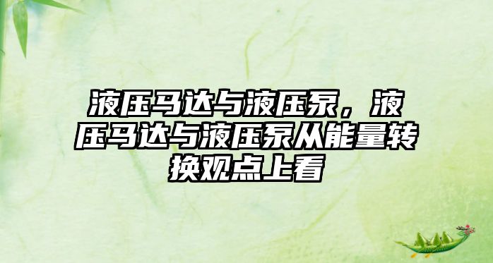 液壓馬達(dá)與液壓泵，液壓馬達(dá)與液壓泵從能量轉(zhuǎn)換觀點(diǎn)上看