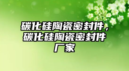 碳化硅陶瓷密封件，碳化硅陶瓷密封件廠家