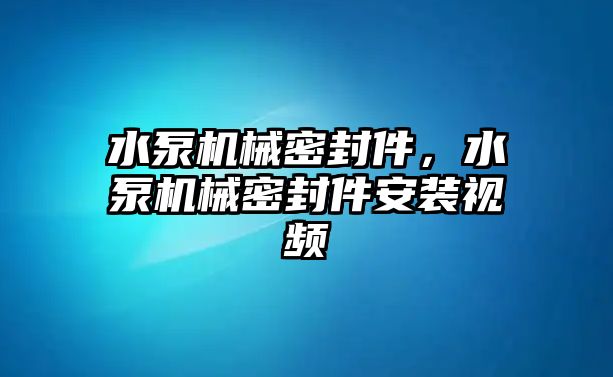 水泵機(jī)械密封件，水泵機(jī)械密封件安裝視頻