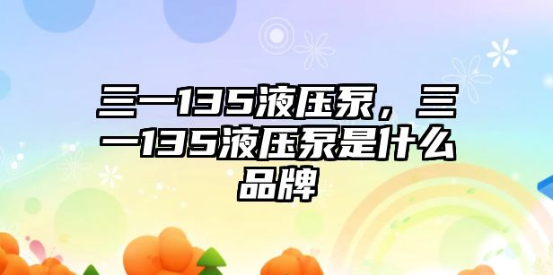 三一135液壓泵，三一135液壓泵是什么品牌