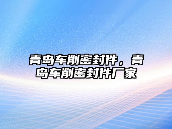 青島車削密封件，青島車削密封件廠家