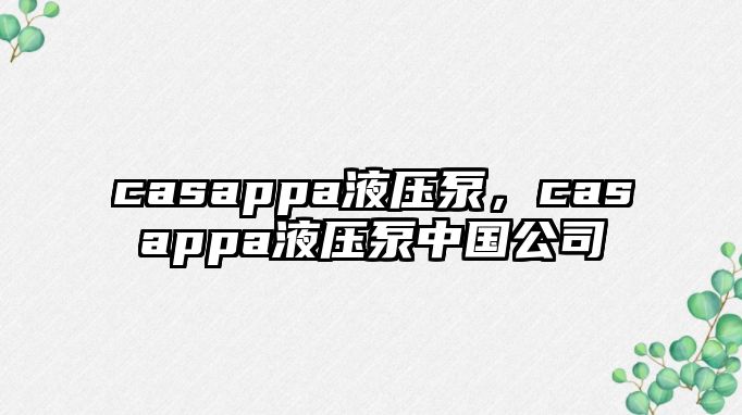 casappa液壓泵，casappa液壓泵中國公司