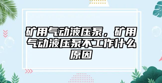 礦用氣動(dòng)液壓泵，礦用氣動(dòng)液壓泵不工作什么原因