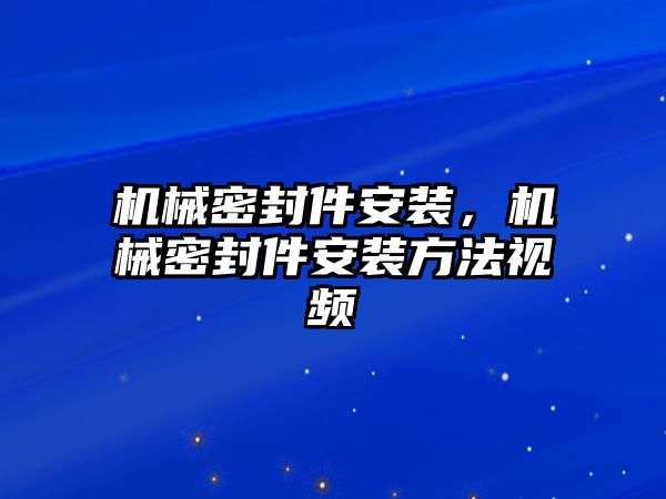 機械密封件安裝，機械密封件安裝方法視頻