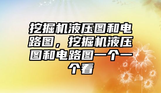 挖掘機(jī)液壓圖和電路圖，挖掘機(jī)液壓圖和電路圖一個(gè)一個(gè)看