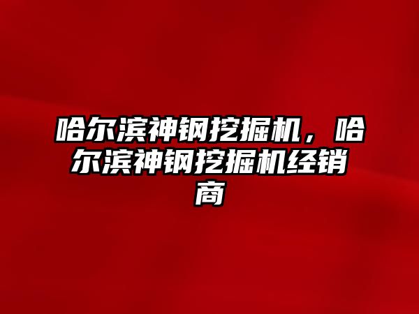 哈爾濱神鋼挖掘機，哈爾濱神鋼挖掘機經(jīng)銷商