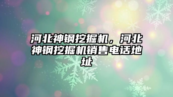 河北神鋼挖掘機(jī)，河北神鋼挖掘機(jī)銷售電話地址