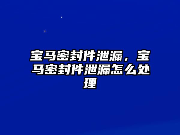 寶馬密封件泄漏，寶馬密封件泄漏怎么處理