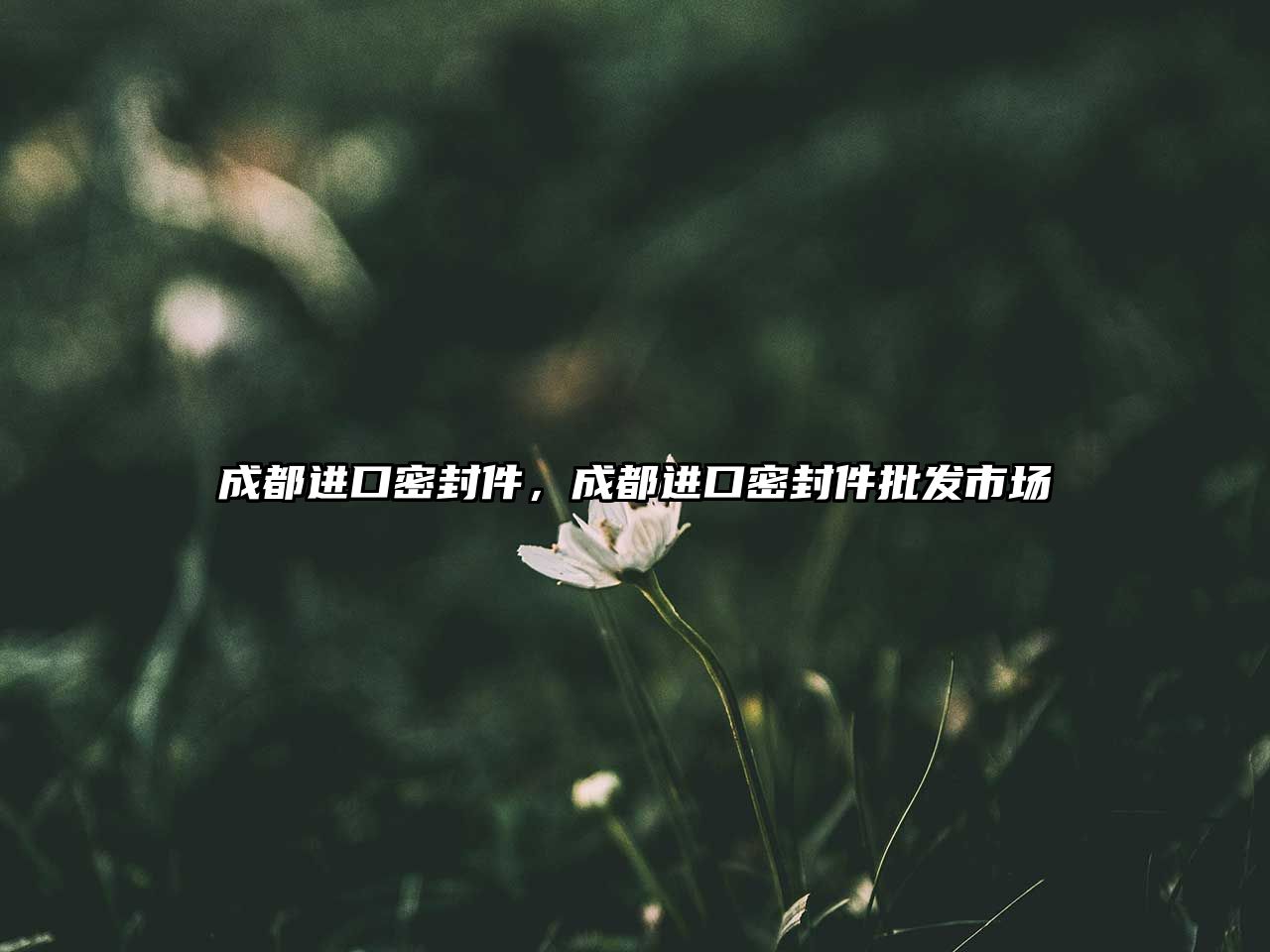 成都進(jìn)口密封件，成都進(jìn)口密封件批發(fā)市場(chǎng)