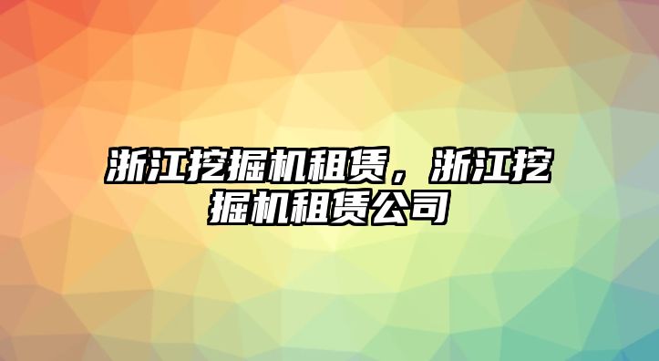 浙江挖掘機(jī)租賃，浙江挖掘機(jī)租賃公司