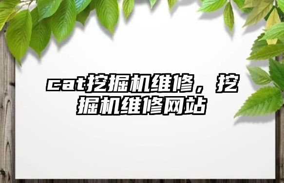 cat挖掘機維修，挖掘機維修網(wǎng)站