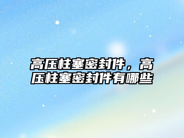 高壓柱塞密封件，高壓柱塞密封件有哪些