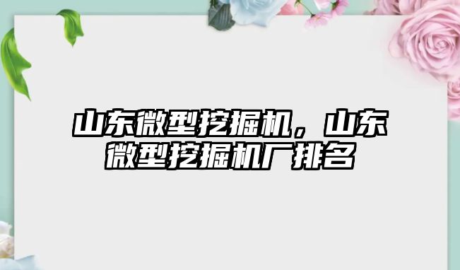 山東微型挖掘機，山東微型挖掘機廠排名