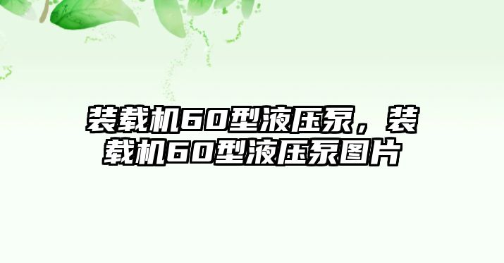 裝載機60型液壓泵，裝載機60型液壓泵圖片