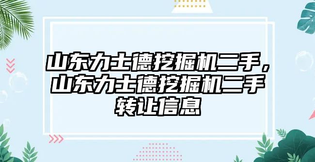 山東力士德挖掘機(jī)二手，山東力士德挖掘機(jī)二手轉(zhuǎn)讓信息