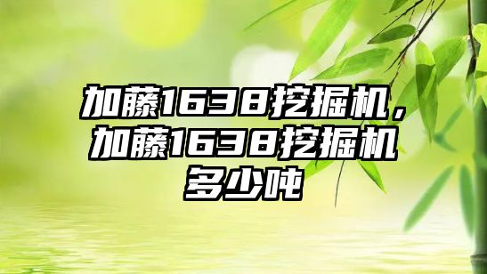 加藤1638挖掘機(jī)，加藤1638挖掘機(jī)多少噸