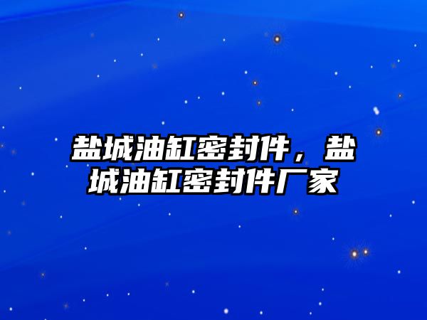 鹽城油缸密封件，鹽城油缸密封件廠家