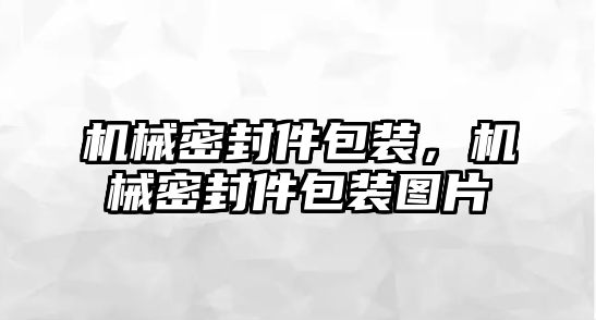 機(jī)械密封件包裝，機(jī)械密封件包裝圖片