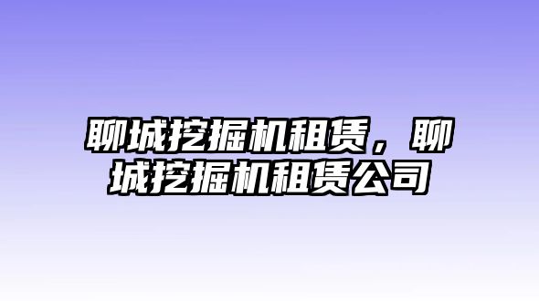 聊城挖掘機(jī)租賃，聊城挖掘機(jī)租賃公司