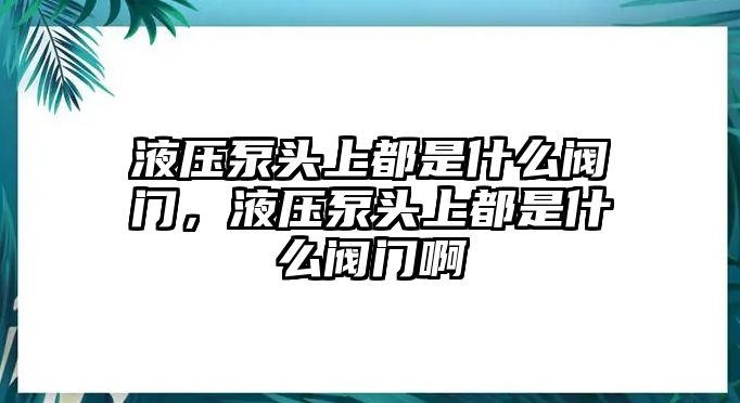 液壓泵頭上都是什么閥門，液壓泵頭上都是什么閥門啊