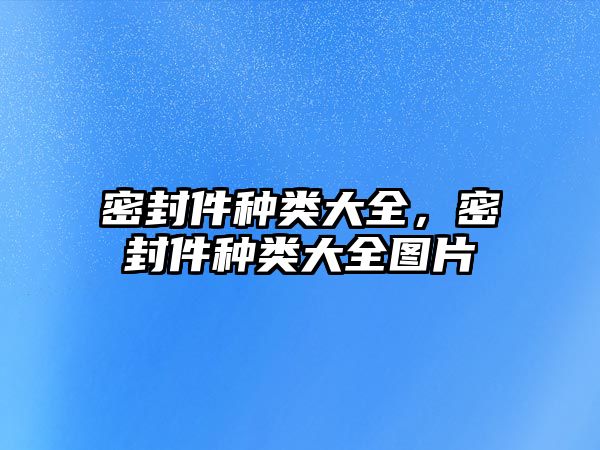 密封件種類大全，密封件種類大全圖片