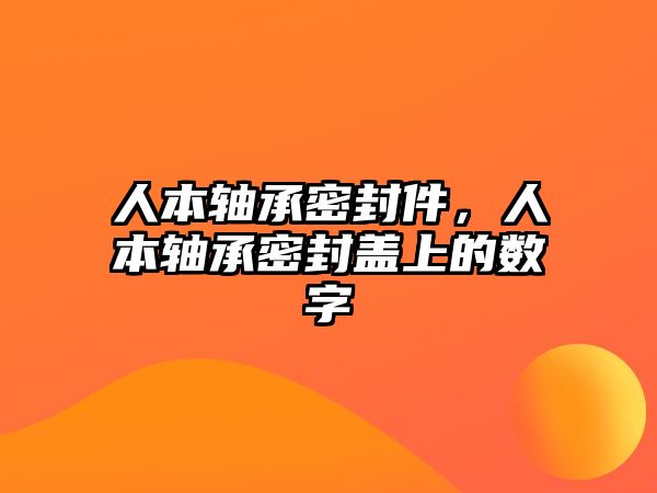 人本軸承密封件，人本軸承密封蓋上的數(shù)字